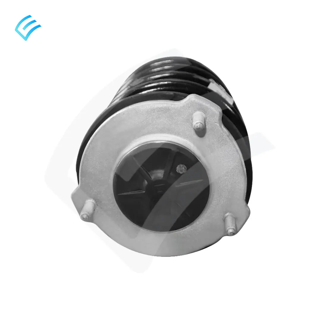 NUEVO OEM Tesla Model 3 Conjunto Amortiguador Delantero Tracción Trasera E1 Mano Derecha 1044369-00-G