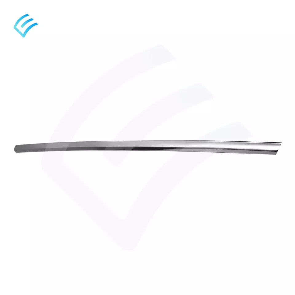 NUEVO OEM Tesla Model 3 Puerta Delantera Cinturón Exterior Asamblea Izquierda 1873571-17-A